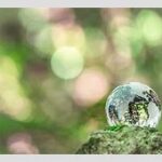 【地球温暖化】日本の気候変動と温暖化対策の現状及び将来予測