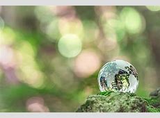 【地球温暖化】日本の気候変動と温暖化対策の現状及び将来予測